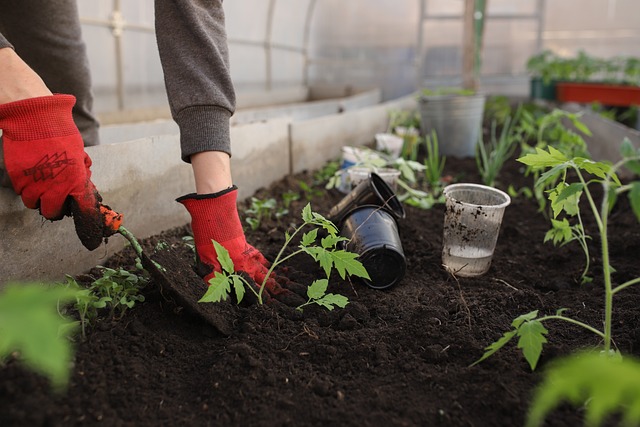 Tuinman in harderwijk